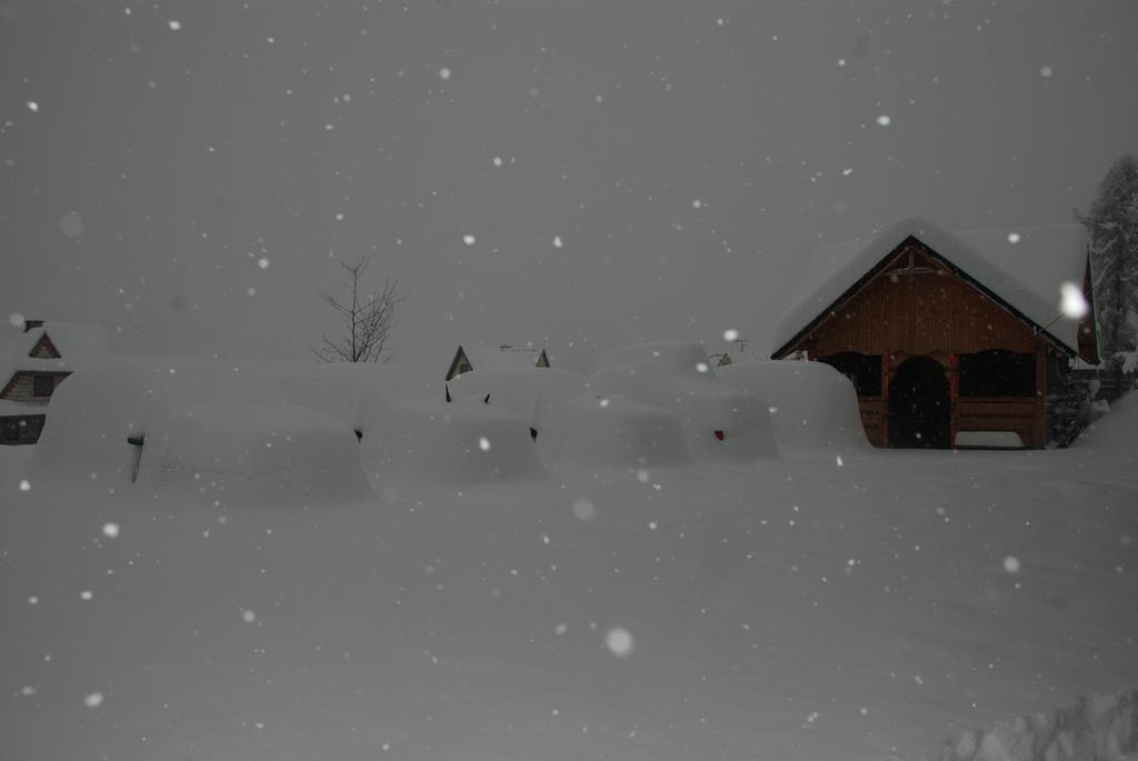 Pokoje Goscinne U Siyly Bukowina Tatrzanska Exterior photo